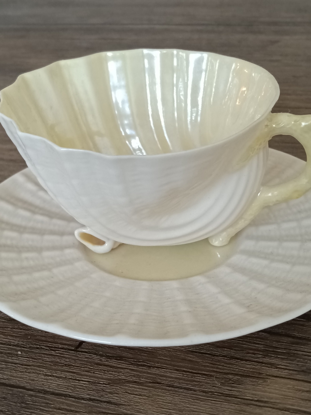 Belleek Shell-Textured Porcelain Teacup and Saucer in Cream